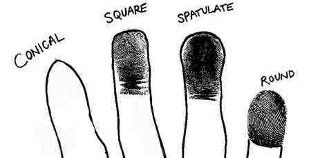 shape-of-fingers-in-palmistry