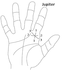 Index Finger In Palmistry Or Jupiter Mount In Palmistry & Career